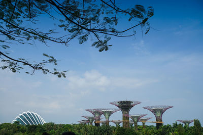 Plants growing in park against sky