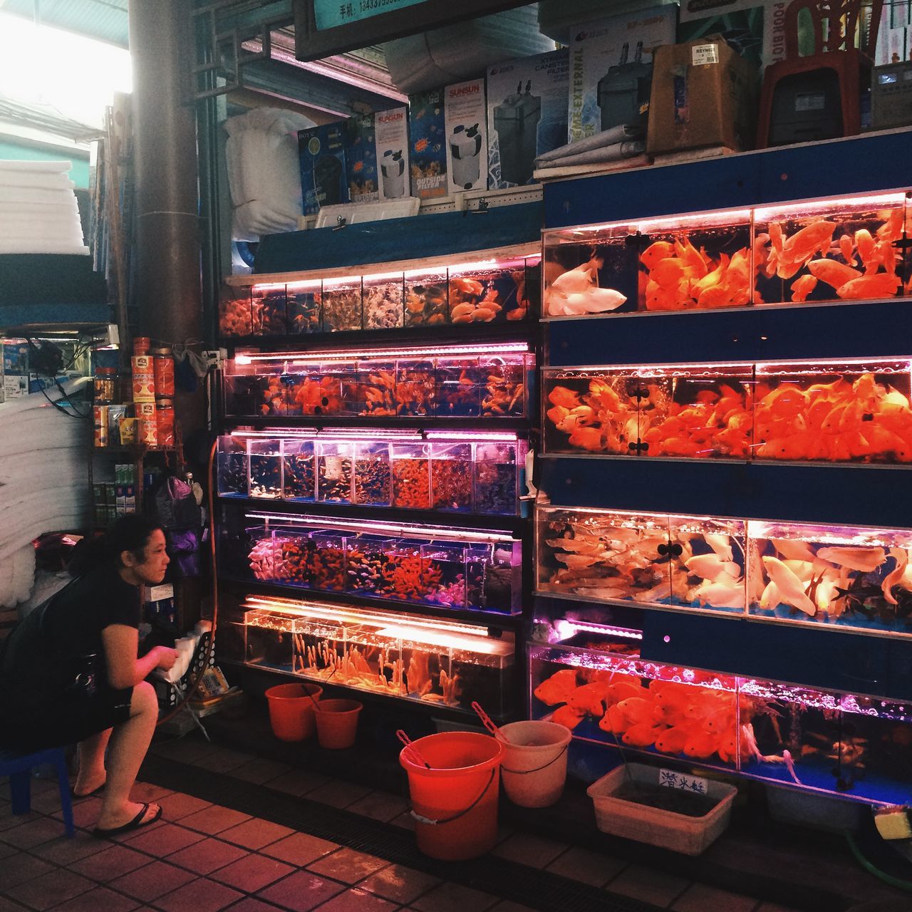 food and drink, food, retail, for sale, market stall, market, store, choice, freshness, large group of objects, variation, men, abundance, indoors, sale, small business, shop, arrangement