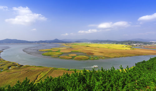 Scenic view of agricultural field against sky, suncheon bay ecological