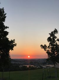 Scenic view of silhouette trees against clear sky during sunset