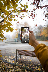 Man photographing through smart phone on tree