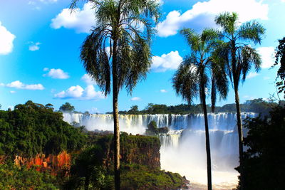 Palm trees at iguazu falls against sky