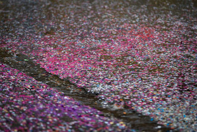 Full frame shot of multi colored background