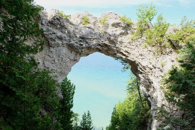 Rock formation amidst trees against sky