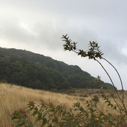 Scenic view of mountains against cloudy sky