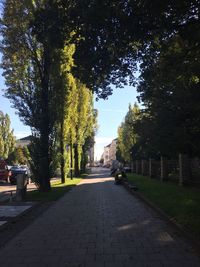 Footpath amidst trees against clear blue sky