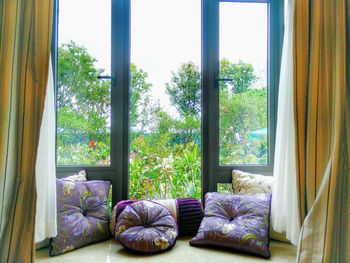 Close-up of plants against window at home