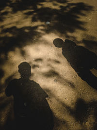 Shadow of man standing on street