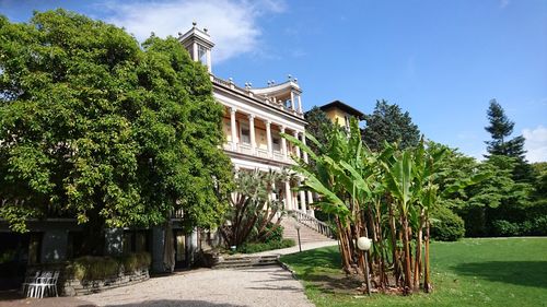 Trees and building by empty footpath