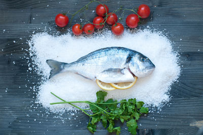 High angle view of fish on ice