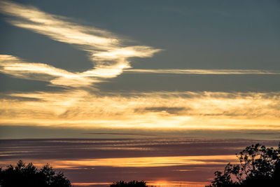 Silhouette trees against sky during sunset