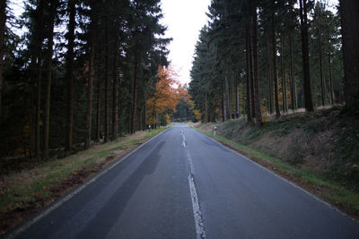 Road amidst trees in forest against sky