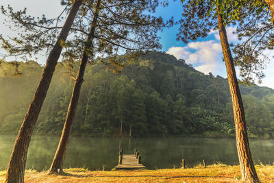 Scenic view of lake and trees against sky