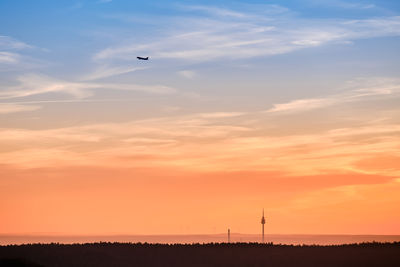 Silhouette bird flying against sky during sunset