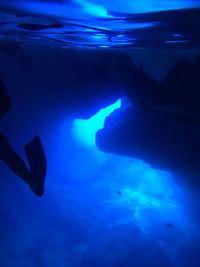 Close-up of silhouette jellyfish swimming in aquarium