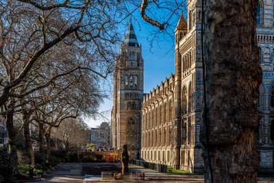 3 feb 2019 london natural history museum