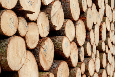 Full frame shot of wooden logs in forest