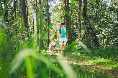 Man walking with dog in forest