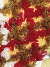 Close-up of red rose