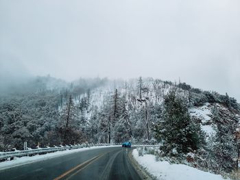 Road amidst trees against sky during winter