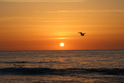 Silhouette bird flying over sea against orange sky