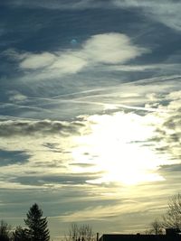 Low angle view of trees against sky at sunset