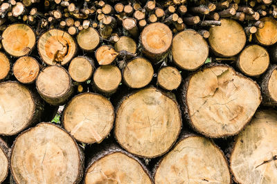 Full frame shot of firewood