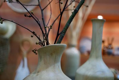 Close-up of plant in vase