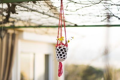 Close-up of decoration hanging on tree