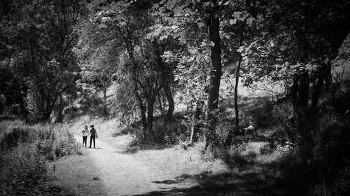 Rear view of people walking on street amidst trees in forest