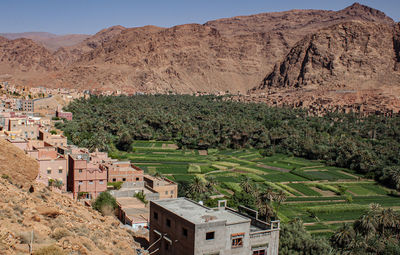 A lush green oasis in the valley surrounded by rocks. traditional berber village in morocco, africa.
