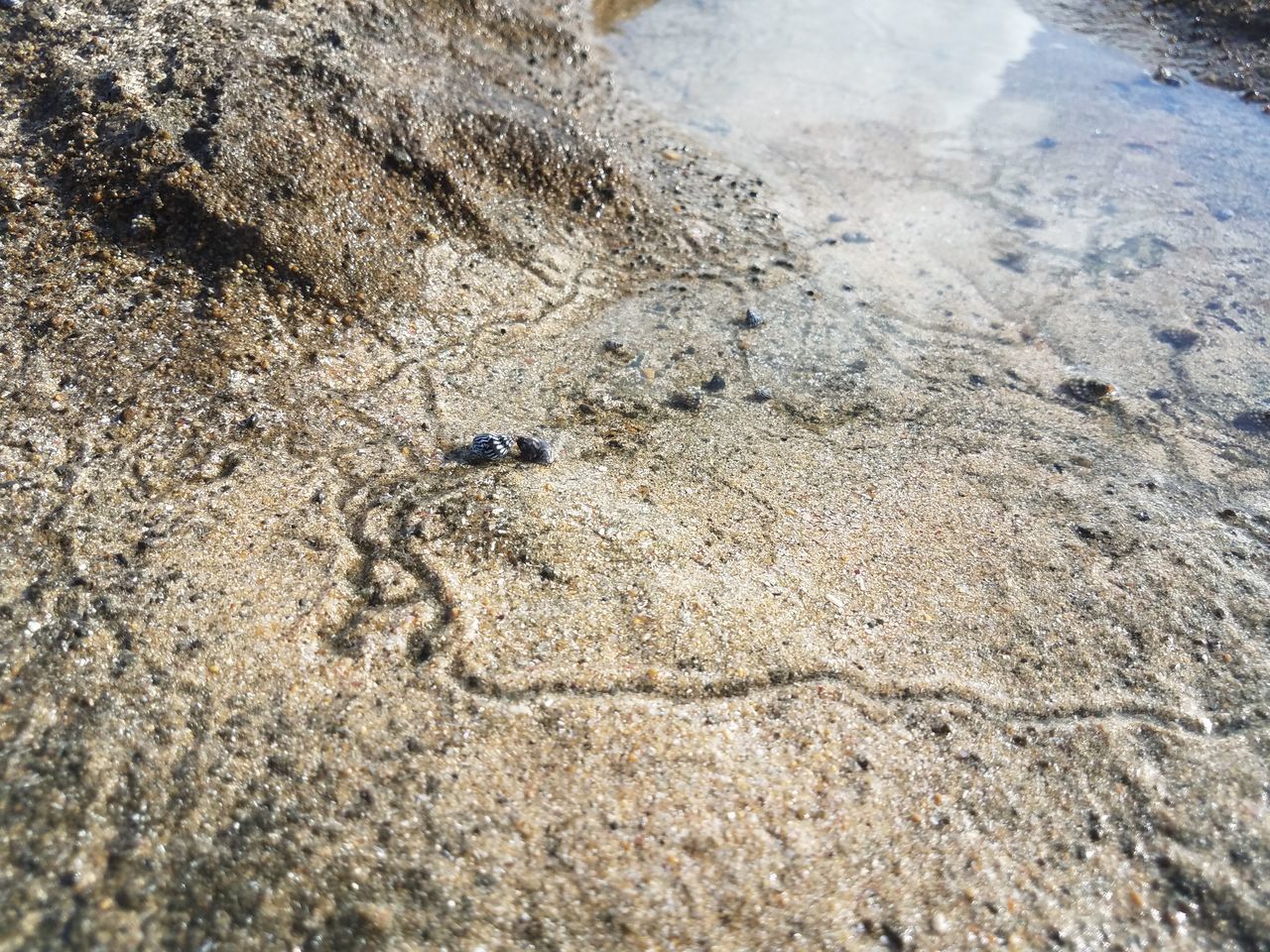 HIGH ANGLE VIEW OF WET SAND