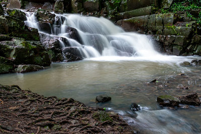 Scenic view of waterfall in forest