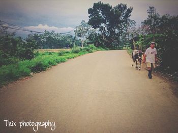 Rear view of people walking on road by trees