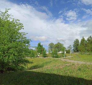 Trees on field against sky