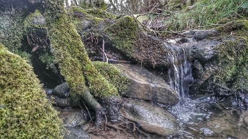 River flowing through rocks