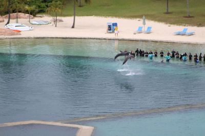 High angle view of people swimming in pool