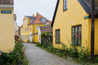 Footpath amidst houses