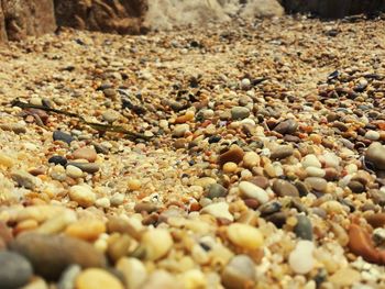 Close-up of pebbles on beach