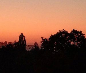 Silhouette trees against clear sky during sunset