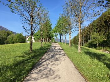 Road amidst trees against sky