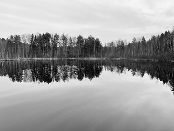 Reflection of trees in lake against sky