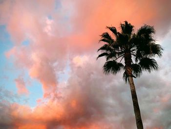 Low angle view of silhouette palm tree against sky at sunset