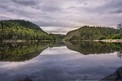 Scenic view of lake by trees against sky