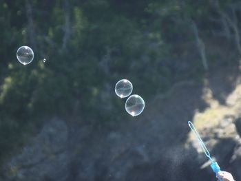 Close-up of bubbles against trees