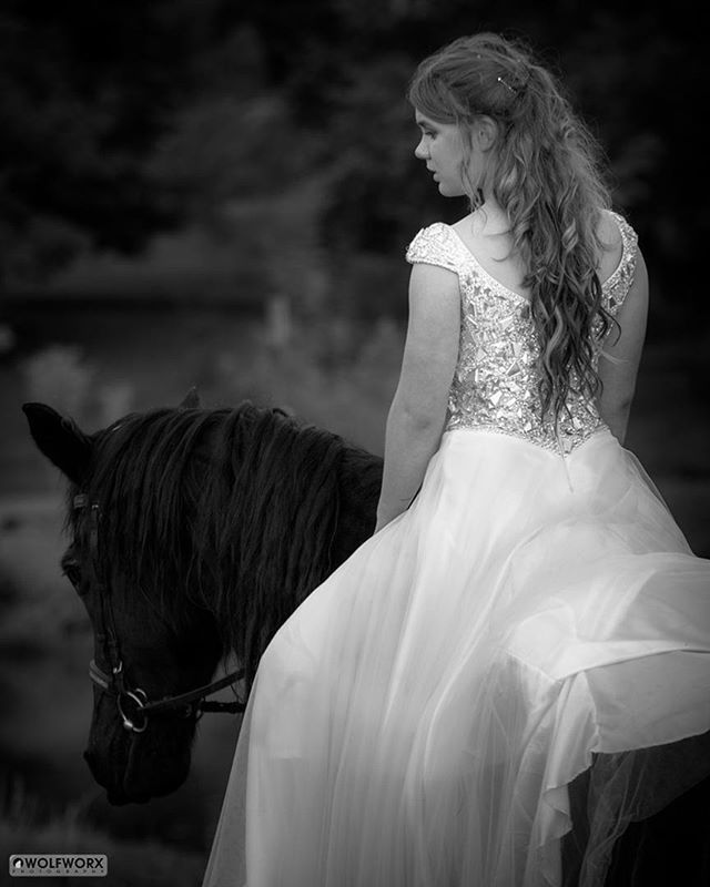 long hair, lifestyles, young women, rear view, leisure activity, focus on foreground, standing, person, young adult, three quarter length, side view, casual clothing, waist up, horse, outdoors, day, blond hair