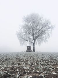 Bare tree on landscape against sky