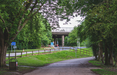 Footpath amidst trees in park