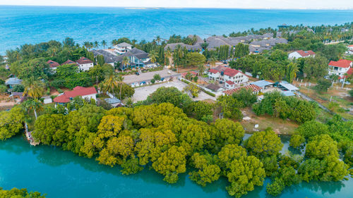 Aerial view of the mangrove swamps , city of dar es salaam