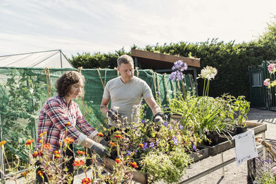 Couple gardening at plant nursery